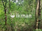 Land for Sale in Sigiriya - සීගිරියෙන් ඉඩමක් විකිණීමට
