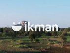 Land for Sale in Sigiriya - සීගිරියෙන් ඉඩමක් විකිණීමට
