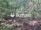 Land for Sale in Sigiriya - සීගිරියෙන් ඉඩමක් විකිණීමට