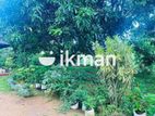 Land for Sale in Sigiriya - සීගිරියෙන් ඉඩමක් විකිණීමට