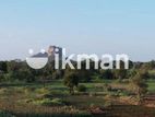 Land for Sale in Sigiriya - සීගිරියෙන් ඉඩමක් විකිණීමට