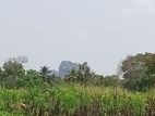 Land for sale in Sigiriya - සීගිරියෙන් ඉඩමක් විකිණීමට