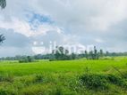 Land For Sale in Sigiriya - සීගිරියන් ඉඩමක් විකිණීමට