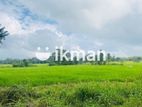 Land For Sale in Sigiriya - සීගිරියන් ඉඩමක් විකිණීමට