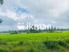 Land For Sale in Sigiriya - සීගිරියන් ඉඩමක් විකිණීමට