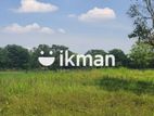 Land For Sale in Sigiriya - සීගිරියන් ඉඩමක් විකිණීමට