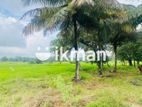 Land For Sale in Sigiriya - සීගිරියන් ඉඩමක් විකිණීමට