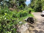 Land for Sale in Singharagama, Gurudeniya