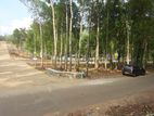 Land for Sale in Sinharagam