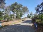 Land for Sale in Sinharagama