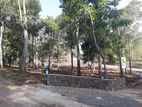 Land for Sale in Sinharagama