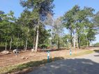 Land for sale in Sinharagama