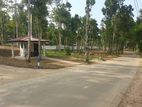 Land for sale in Sinharagama