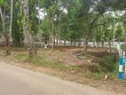 Land for Sale in Sinharagama