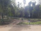 Land for Sale in Sinharagama