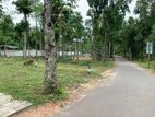 Land for sale In Sinharagama