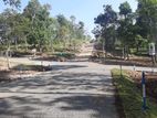 Land for Sale in Sinhargama