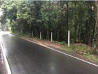 Land for Sale in Sirimalwatta, Kandy – 21.9 Perches