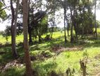 Land for Sale in Srawasthipura
