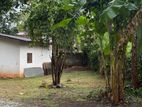 Land for Sale In Anuradhapura