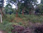 Land for Sale in Suriyawewa