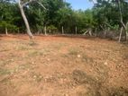 Land For Sale In Tal Aramba - Mirissa