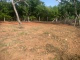 Land For Sale In Tal Aramba - Mirissa