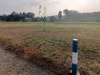 Land for Sale in Talagala