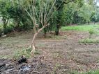 Land for Sale in Talahena 11.6P
