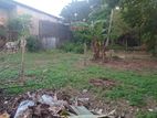 Land for Sale in Talawathugoda 8.4 P