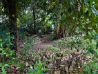 Land For Sale In Talawatugoda