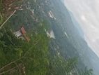 Land for Sale in Talwattha