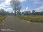 Land for Sale in Tangalla