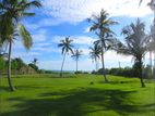 Land for Sale in Tangalla