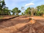 Land for Sale in Tangalla