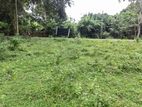 Land for Sale in Tangalla