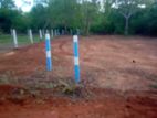 Land for Sale in Tangalle