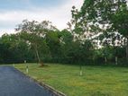 Land for Sale in Tangalle