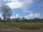 Land for Sale in Tangalle