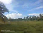 Land for Sale in Tangalle