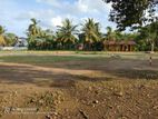 Land for Sale in Tangalle