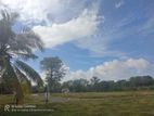 Land for Sale in Tangalle