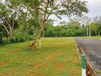 Land for Sale in Tangalle