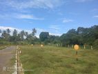 Land for Sale in Tangalle