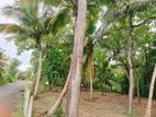 Land for Sale in Tangalle