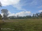 Land for Sale in Tangalle