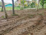Land For Sale in Tangalle