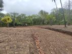 Land for Sale in Tangalle