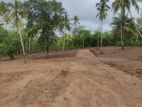 Land for Sale in Tangalle