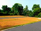 Land for Sale in Tangalle